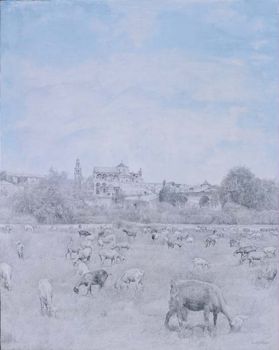 C�rdoba en su cotidianeidad.   1993