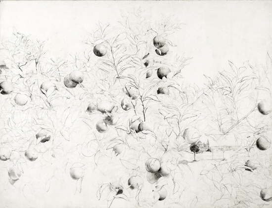 Naranjo.  2010-2011